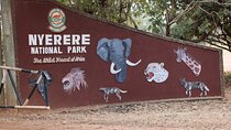 8-Day Safari in Nyerere Mikumi Ruaha Parks