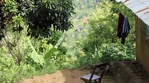 Kilimanjaro Cultural Village Tour and Local Stay Experience
