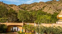 Napa Valley Boutique Wine Tour 6 Hour Private SUV Good for 6 Pax