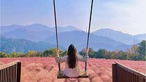 Seasonal Pocheon Full Day Tour with Apple Farm Experience