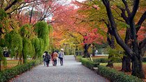 Kyoto Imperial Palace & Nijo Castle Guided Walking Tour - 3 Hours