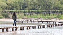UNESCO Andong Hahoe Village & Youngju Museom Village Tour by KTX 