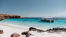  Daymaniyat Island Natural Reserve Snorkeling