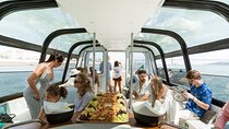 Lisbon: Coffee Cruise – Luxury Boat, Pastel de Nata & Dolphins