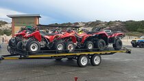 Private Day Tour to Atlantis Dune Quad Biking and Ostrich Farm