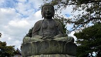 Private Tokyo City, Shrine & Temple Tour by Car