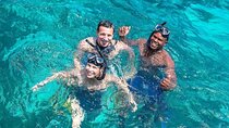 Zanzibar: Prison Island & Nakupenda Sandbank Day Tour with Lunch