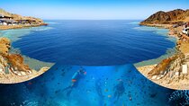 Day In Dahab From Sharm El Sheikh Snorkel &Camel Ride, Quad Bike 