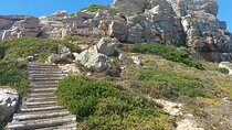 Full-Day Cape of Good Hope and Boulders Beach Penguins Tour