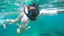 Krabi Phi Phi Early Bird and 4 Islands Speedboat Tour 