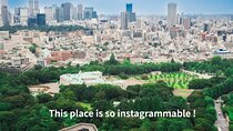 Tokyo Guest House and Imperial Residence Aerial View Experience