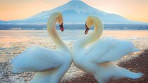 Full Day Tour at Mt. Fuji, Onsen, Lake Kawaguchi and Yamanaka
