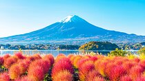 Mt. Fuji Tour Historic Village，Kawaguchiko Ropeway and Matcha