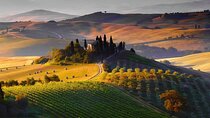 Private Half day Tour in Chianti, San Gimignano with wine tasting