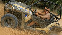 Wild Jungle Challenge: ATVs, Extreme Ziplines & Cenote