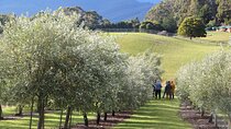 Santa Ynez Farm Tour