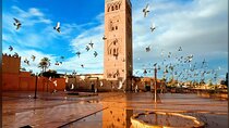 Visit vip Marrakech 5 h with driver polyglot & Palmeraie”