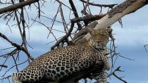 14 Day the Ultimate Mountain Climbing and Wilderness Safari