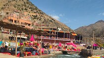 Day trip to Ourika valley 