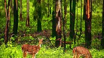 Cuc Phuong National Park And Van Long Wetland Day Trip