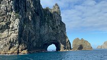 2 Days: North Land - Hole in the Rock, Waitangi, Glowworms & more
