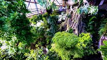 Green Planet Dubai City Experience Ticket
