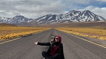 Atacama Desert Full Day Tour Chaxa Lagoon and Altiplanic Lagoons