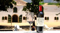 Private 15 Wine Tasting And Wildlife From Cape Town