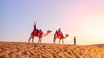 Red Dunes Desert Safari and BBQ Dinner with Optional Quad Bike