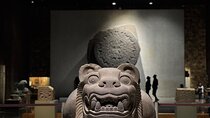 Museum of Anthropology and Chapultepec Castle with Specialists