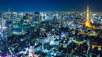 Tokyo Private Sightseeing Tour by Car and English Speaking Driver