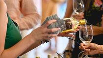 Stellenbosch Wine and Franschhoek Tram Tour experience 