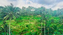 Ubud Nature, Art Making, and Experience - Customize Private Tour