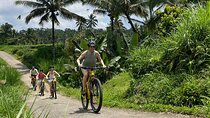 Kintamani Down Hill Cycling
