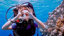  Hurghada Beginner Scuba Diving with 2 Dives & Lunch