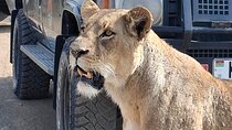 Nairobi National Park shared Drives