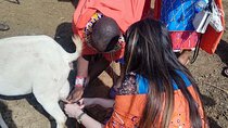 Maasai Village Visit and Cultural Experience Tour with entry fee