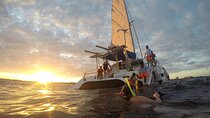Sunset Sailing 
