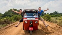 Full Day Private Sightseeing Tour by Tuk Tuk in Jaipur