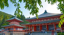 Private Tour to Kyu Chikurinin Garden by Car