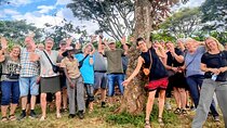 Coffee Farm Village & Factory Half Day Tour with Pick-Up 