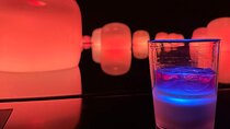 TeamLab Phenomena Abu Dhabi Ticket