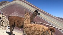 Transportation to 7 Colors Rainbow Mountain