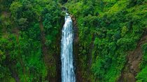 Half Day Materuni Waterfall and Coffee Tour from Moshi