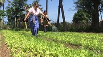 Full Day Siem Reap Farm Tour with Cooking Class and Monk Blessing