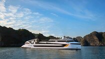 Explore Halong Bay on Dolphin 5-Star Cruise with Buffet & Party