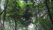 ANAGA: VIP tour: Forests, Peaks and Sea.