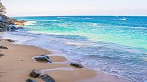 From Puerto Vallarta: Hidden Coves Private Tour 