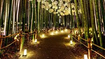 Explore Kyoto | Private Tour - Local English Driver(guide option)