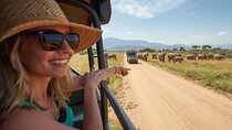 Full Day Big 5 Safari Tour at Aquila Private Game Reserve